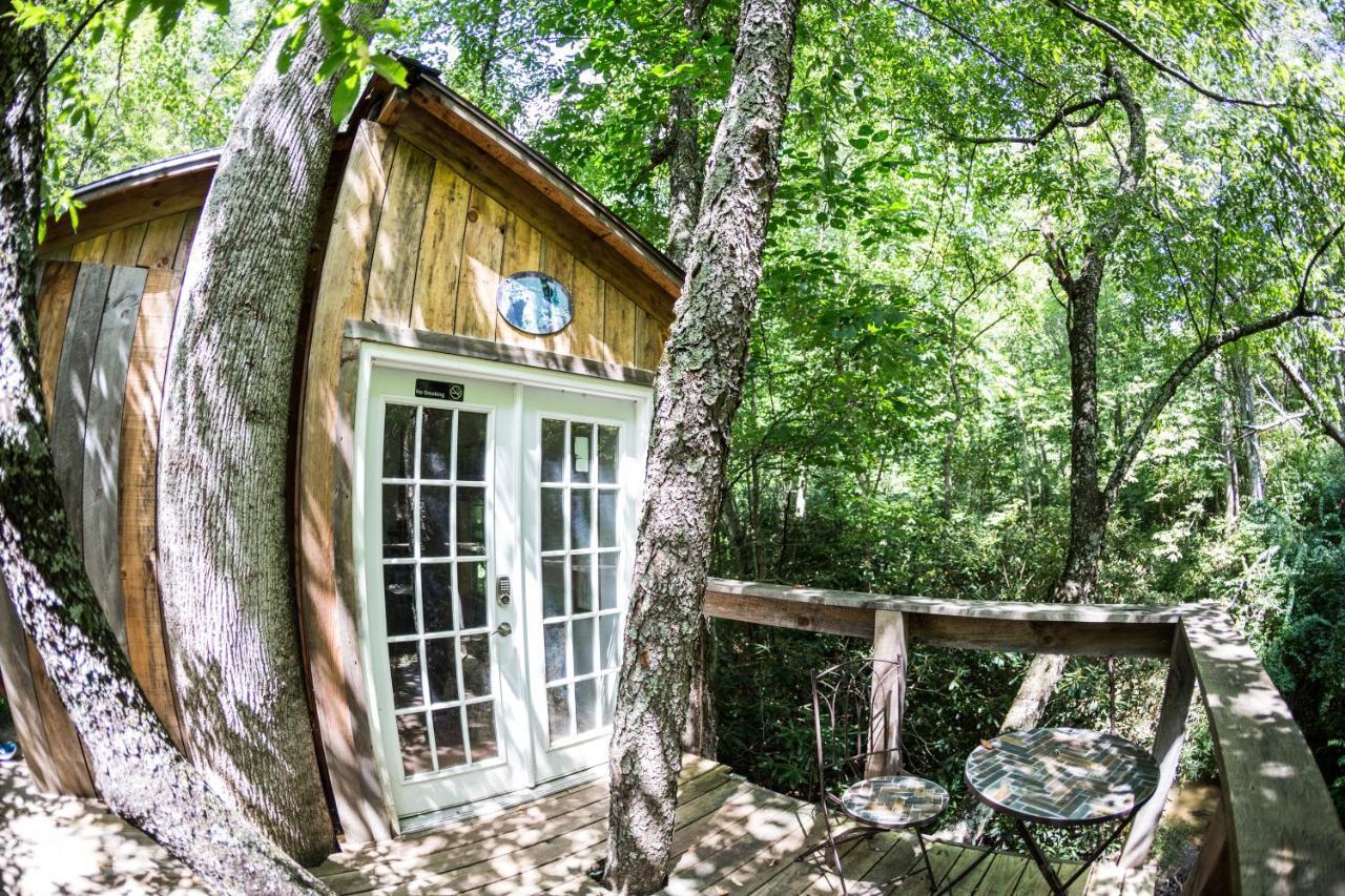Mountain Harbour B&B Roan Mountain Экстерьер фото